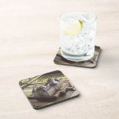 ニコラスのために設計されている館の空中写真 コースター (右側)