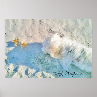 ニコラス&フレンド ポスター