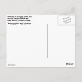 ニコラス ポストカード (裏面)