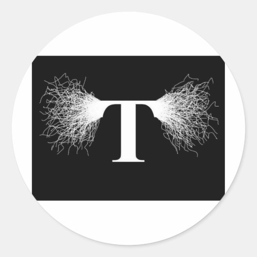 ニコラテスラ – テスラコイル – 稲妻 ラウンドシール (正面)