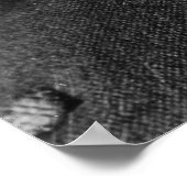 ニコラテスラ ポスター (角)