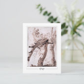 ニコラプッサン#134ファインアート葉書 ポストカード (スタンド正面)