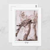 ニコラプッサン#134ファインアート葉書 ポストカード (正面/裏面)