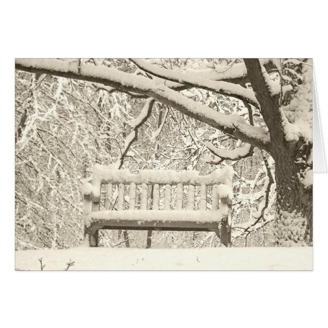 ニコルアルボレトゥム (正面横)