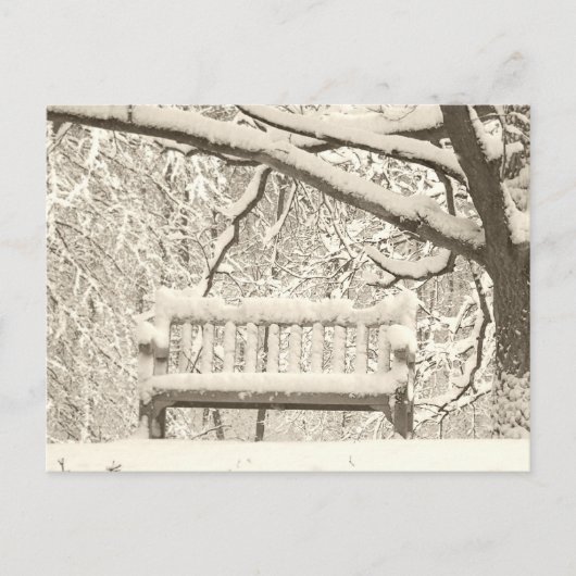 ニコルアルボレトゥム ポストカード (正面)