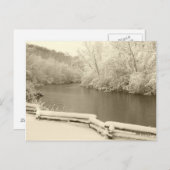 ニコルアルボレトゥム ポストカード (正面/裏面)