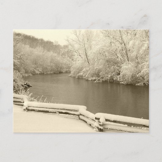 ニコルアルボレトゥム ポストカード (正面)