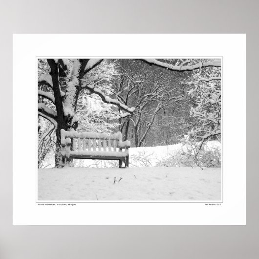 ニコルアルボレトゥム#1 ポスター (正面)