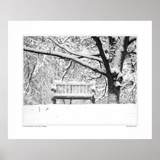 ニコルアルボレトゥム#5 ポスター (正面)