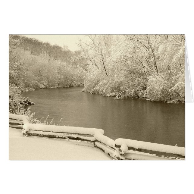 ニコルス·アルボレタム (正面横)