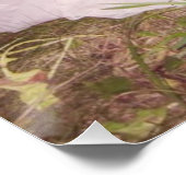 ニコールドランガー ポスター (コーナー)