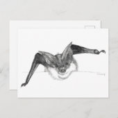 ニコールJanes著作のこうもりのスケッチの郵便はがき ポストカード (正面/裏面)