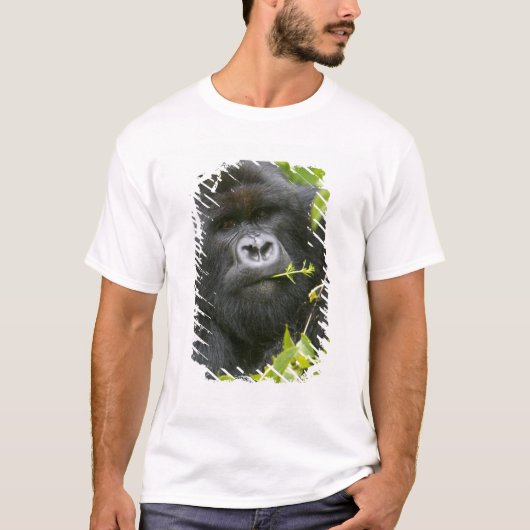 ニシゴリラのオス Tシャツ (正面)