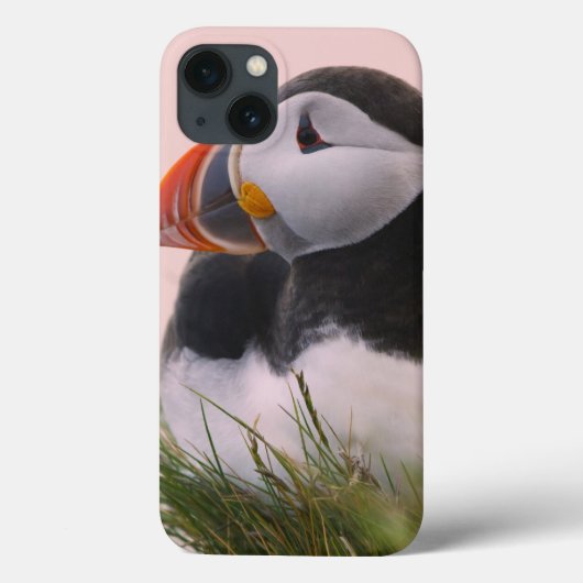ニシツウシギンチャク (Fratercula arctica) Case-Mate iPhoneケース (裏面)