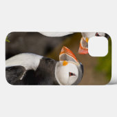 ニシツノメドリ、示されている遠洋の海鳥 Case-Mate iPhoneケース (裏面 (横))