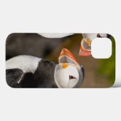 ニシツノメドリ、示されている遠洋の海鳥 Case-Mate iPhoneケース (裏面 (横))