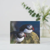 ニシツノメドリ(Fraterculaのarctica) 7 ポストカード (スタンド正面)