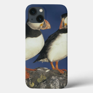 ニシツノメドリ、Fraterculaのarctica)、 iPhone 13ケース