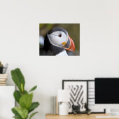 ニシツバメウミスズメ、海洋性の海鳥 ポスター (ホームオフィス)