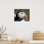 ニシツバメウミスズメ、海洋性の海鳥 ポスター (キッチン)