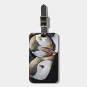 ニシツバメウミスズメ(Atlantic Puffin)、外洋性の海鳥 ラゲッジタグ (正面縦)