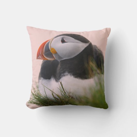 ニシツバメウミスズメ (Fratercula arctica) クッション (正面)