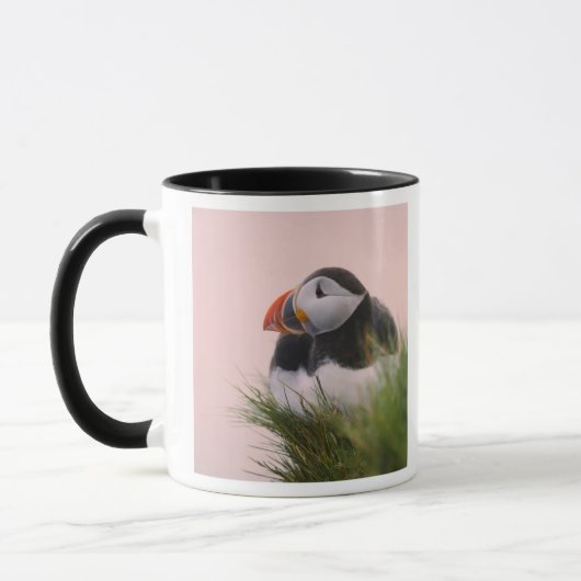 ニシツバメウミスズメ (Fratercula arctica) マグカップ (左)