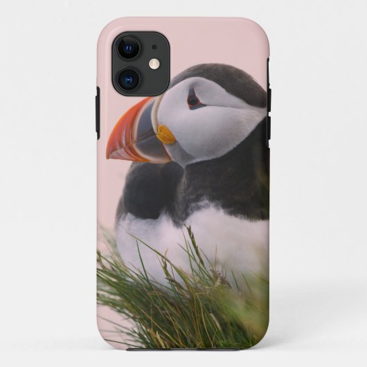 ニシツバメウミスズメ (Fratercula arctica) Case-Mate iPhoneケース (裏面)