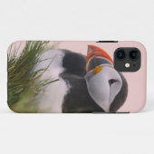 ニシツバメウミスズメ (Fratercula arctica) Case-Mate iPhoneケース (裏面(横))