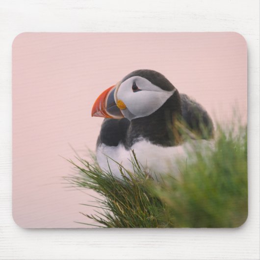 ニシツブシガモドリ (Fratercula arctica) マウスパッド (正面)
