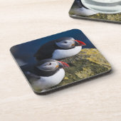 ニシツブシガモメ (Fratercula arctica) 7 コースター (左側)