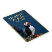 🐧 ニシツブシガモ Iceland 海鳥 マグネット (右側)