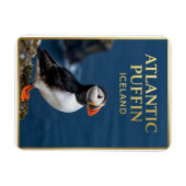 🐧 ニシツブシガモ Iceland 海鳥 マグネット (横)
