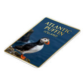 🐧 ニシツブシガモ Iceland 海鳥 マグネット (左側)