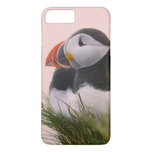 ニシツブシメクラウミバト (Fratercula arctica) iPhone 8 Plus/7 Plusケース