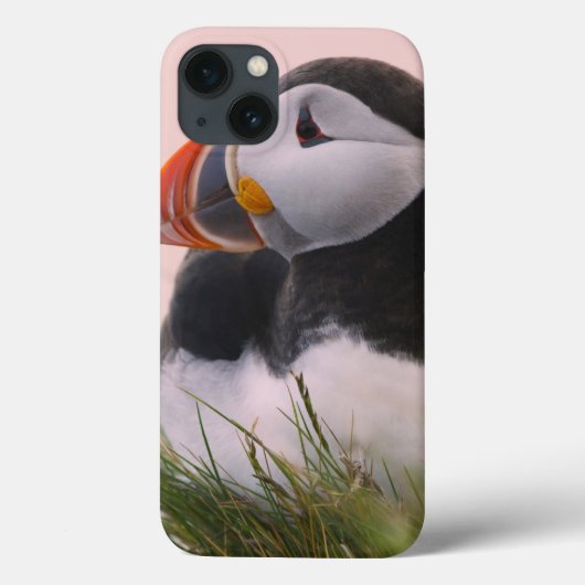 ニシツブシメクラウミバト (Fratercula arctica) Case-Mate iPhoneケース (裏面)