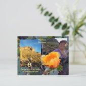 ニシバボサボテンの花/オレンジ/アリゾナUSA ポストカード (スタンド正面)