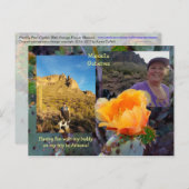 ニシバボサボテンの花/オレンジ/アリゾナUSA ポストカード (正面/裏面)