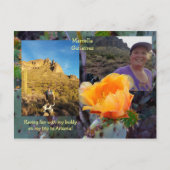 ニシバボサボテンの花/オレンジ/アリゾナUSA ポストカード (正面)