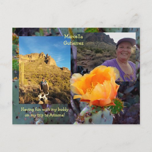 ニシバボサボテンの花/オレンジ/アリゾナUSA ポストカード (正面)