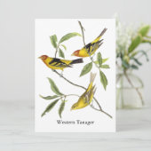 ニシフウキンチョウ-ジョン・ジェームズ・オーデュボン 招待状 (スタンド正面)