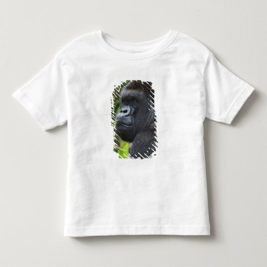 ニシローランドゴリラ トドラーTシャツ (正面)