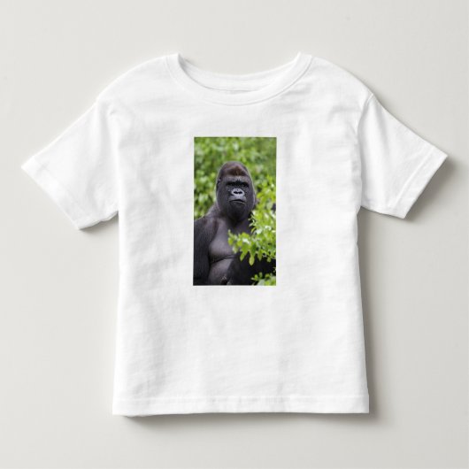 ニシローランドゴリラ トドラーTシャツ (正面)