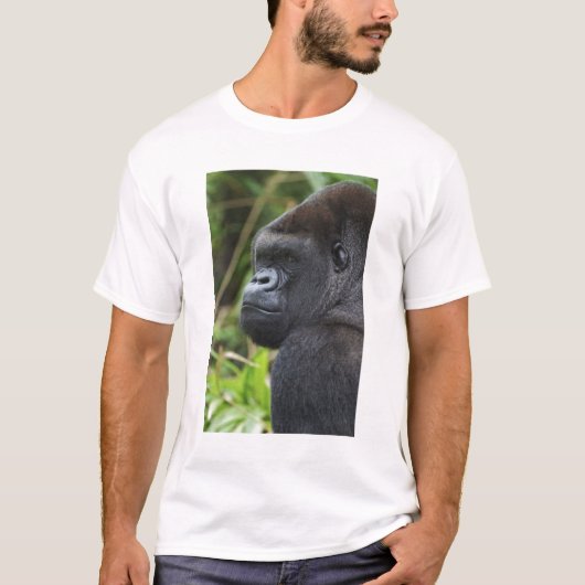 ニシローランドゴリラ Tシャツ (正面)