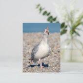 ニシンのカモメが叫び声を上げる シーズンポストカード (スタンド正面)