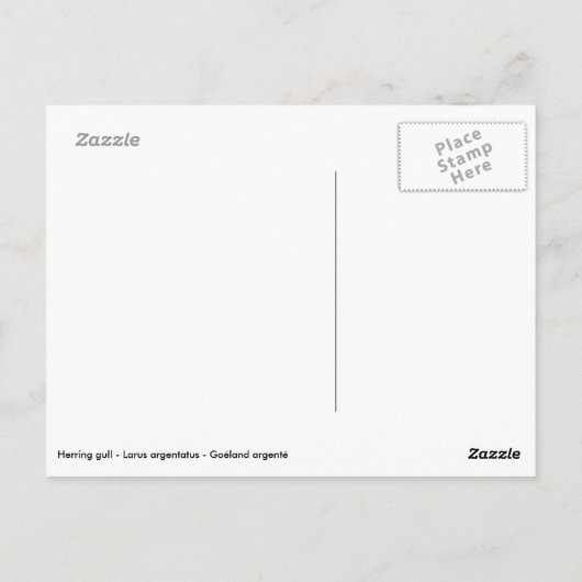 ニシンのカモメが壁に横たわっている ポストカード (裏面)