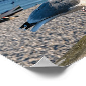 ニシンのカモメが木製のフェンスに止まっていた ポスター (角)