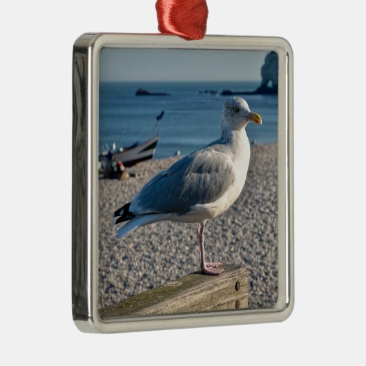 ニシンのカモメが木製のフェンスに止まっていた メタルオーナメント (右)