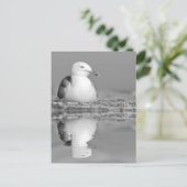 ニシンのカモメで水に大きく反射 ポストカード (スタンド正面)