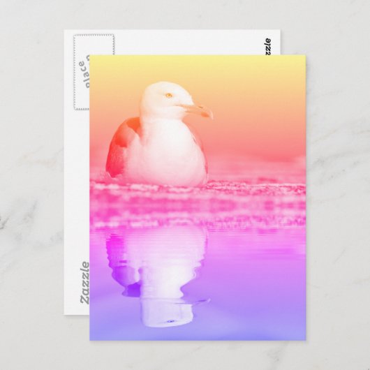 ニシンのカモメで水に大きく反射 ポストカード (正面/裏面)